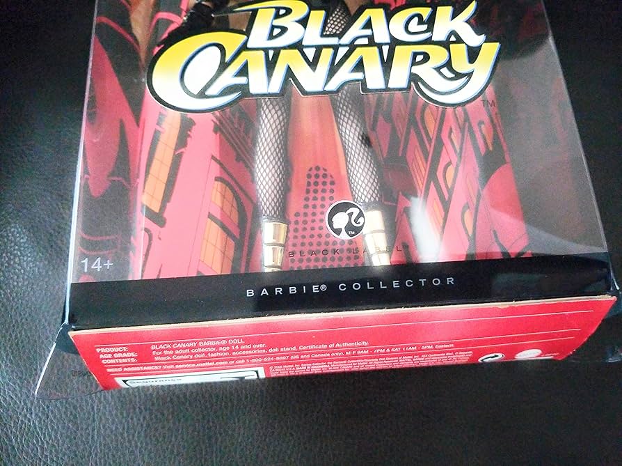 Amazon.com: Mattel Barbie Famous Friends: DC Comics Black